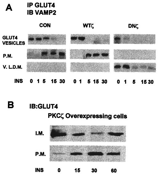 FIG. 8