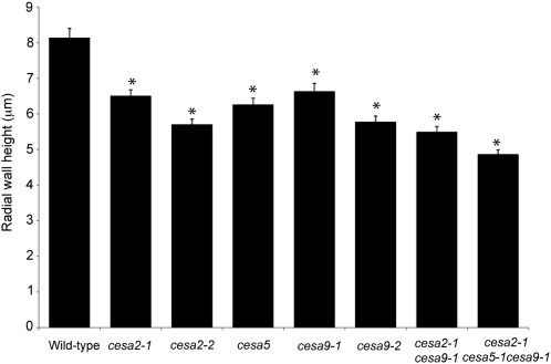 Figure 5.