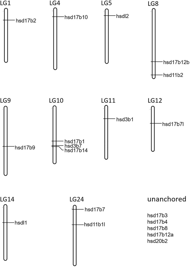 FIGURE 1