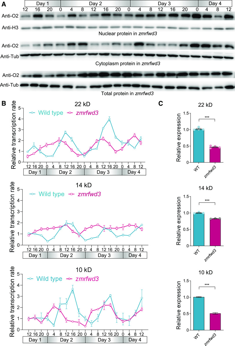 Figure 10.