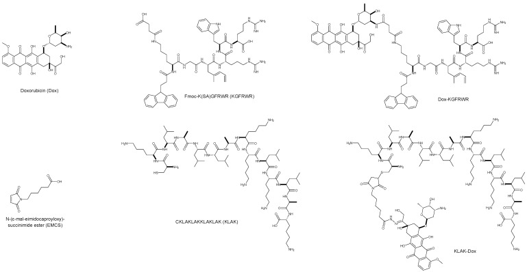 Scheme 5