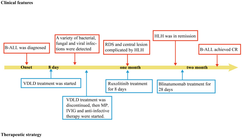 Figure 2