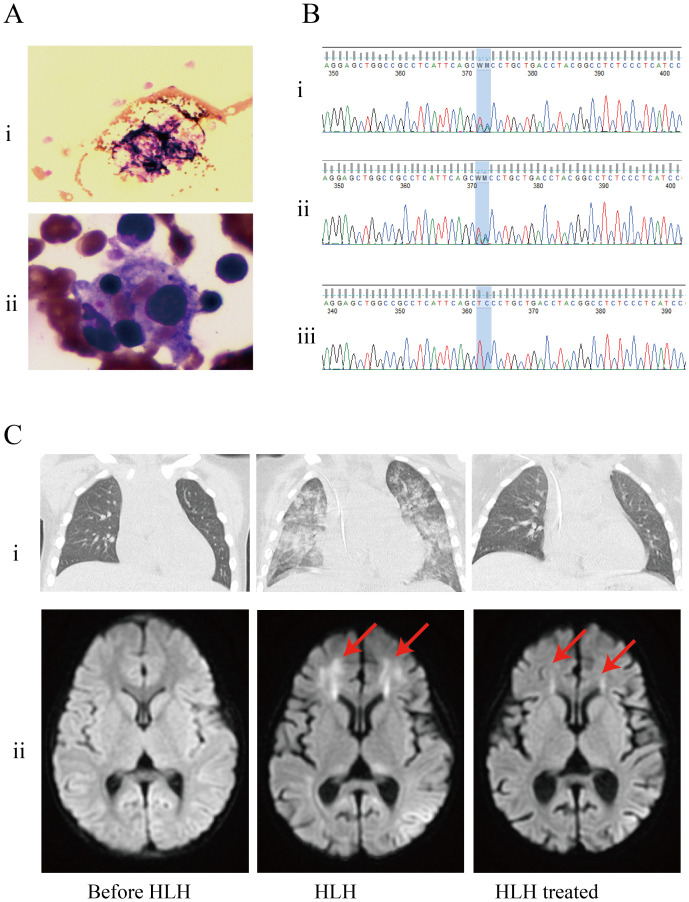 Figure 1