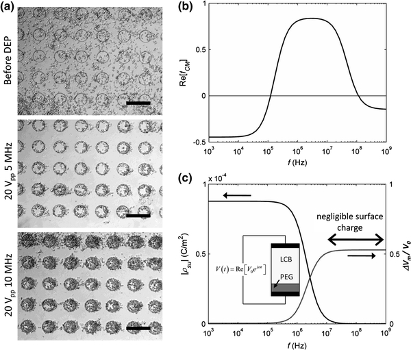 Figure 7