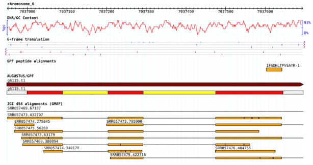 Figure 4