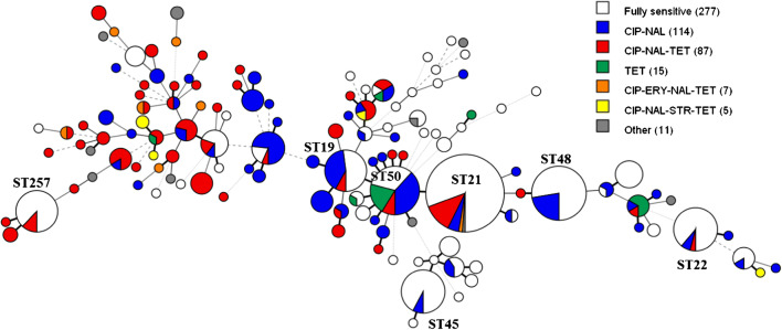 Fig. 1