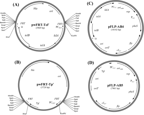 FIG. 3.