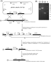FIG. 4.