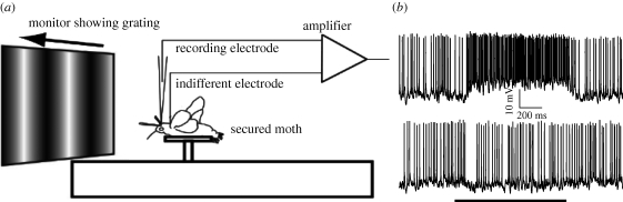 Figure 1.