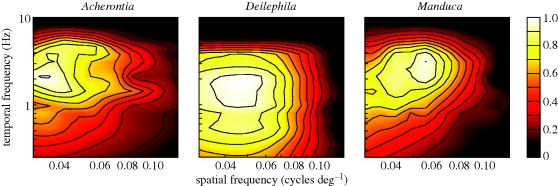 Figure 3.