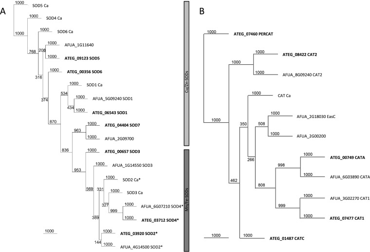 FIG 1