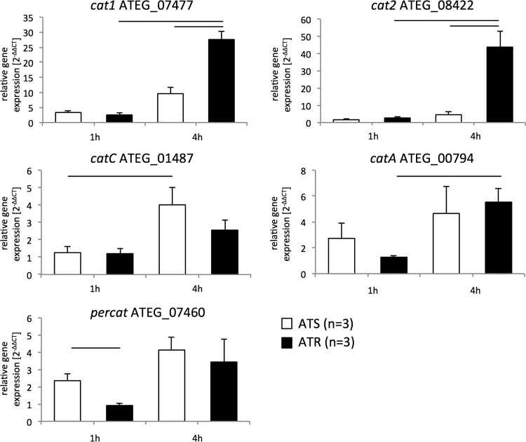 FIG 3