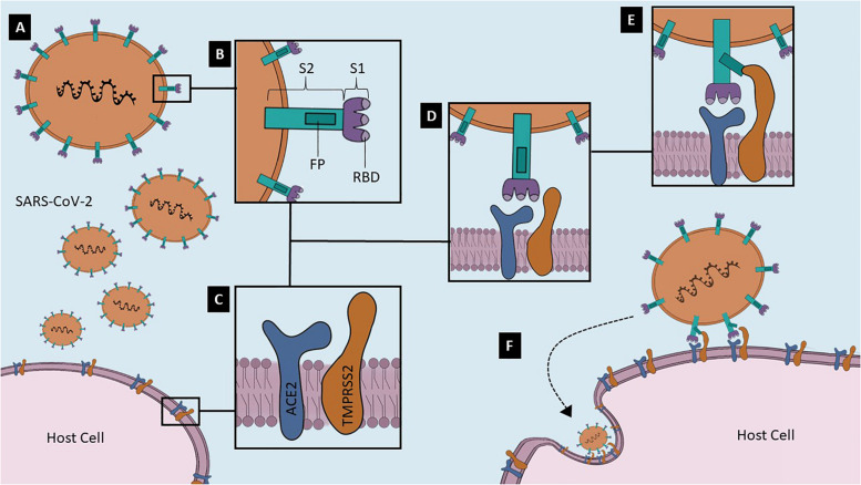 FIGURE 1