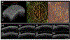 Fig. 4.