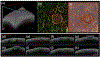 Fig. 6.