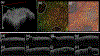 Fig. 8.