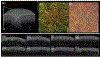 Fig. 3.