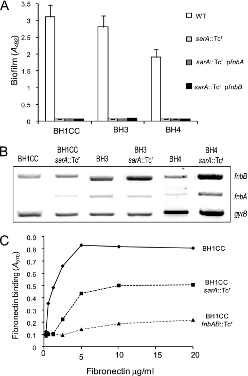 FIG. 6.