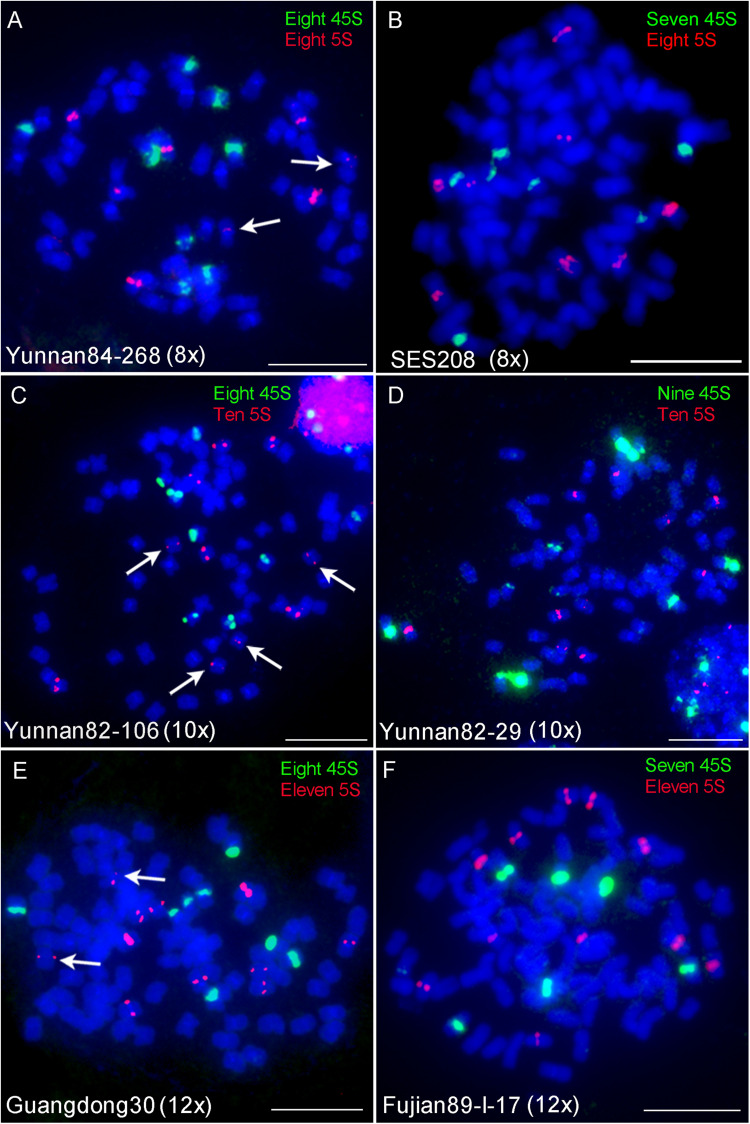 FIGURE 3