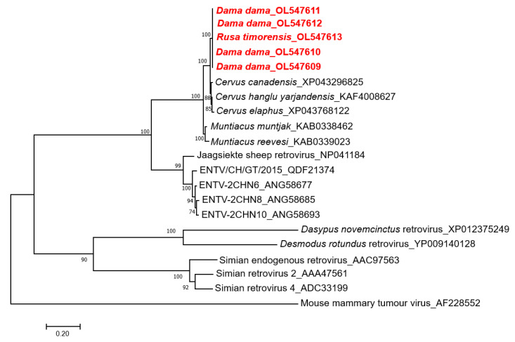 Figure 2