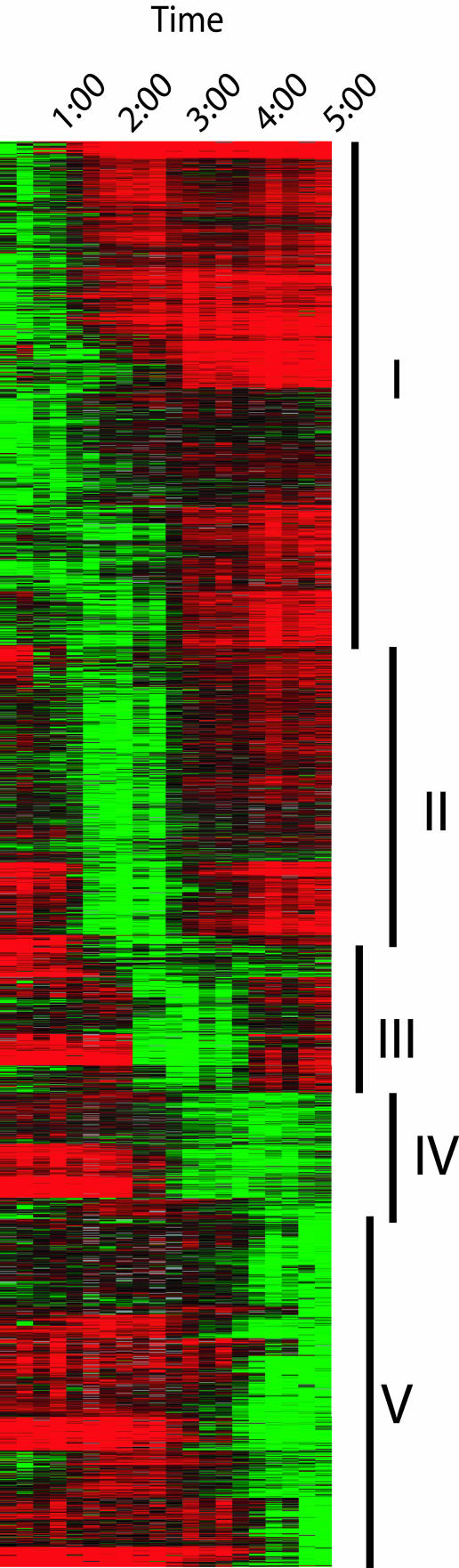 FIG.2.