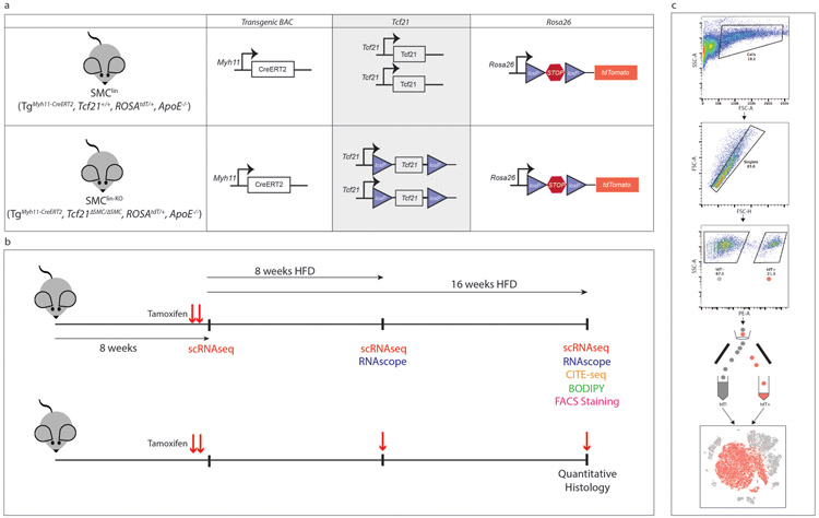 Extended Data Figure 1.