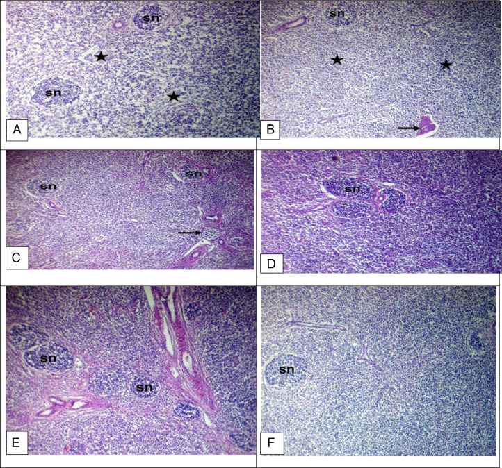 Figure 3: