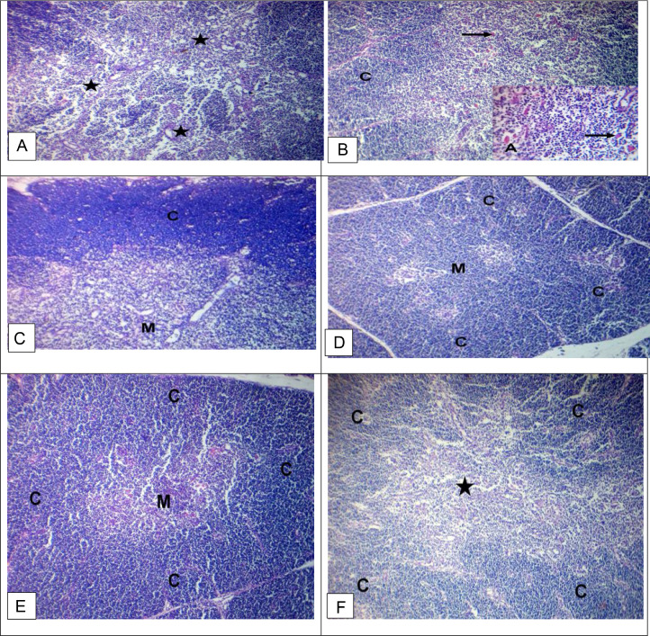 Figure 4: