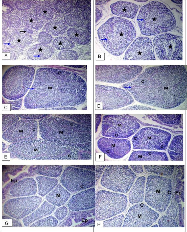 Figure 2: