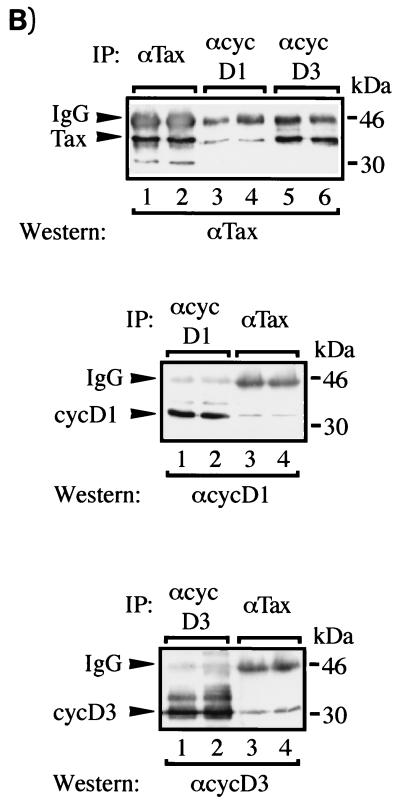 FIG. 7