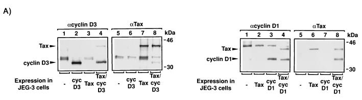 FIG. 7