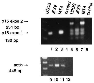 FIG. 9