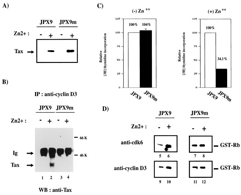 FIG. 8