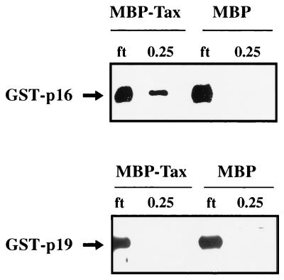 FIG. 10