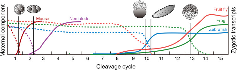 Fig. 1