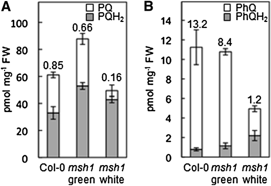 Figure 7.