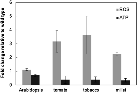 Figure 6.