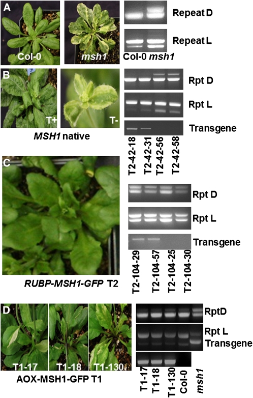 Figure 3.