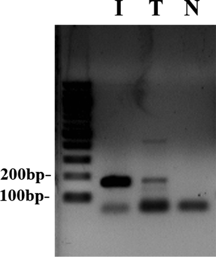 FIGURE 10.