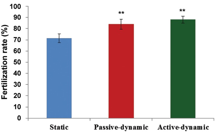 Fig.3