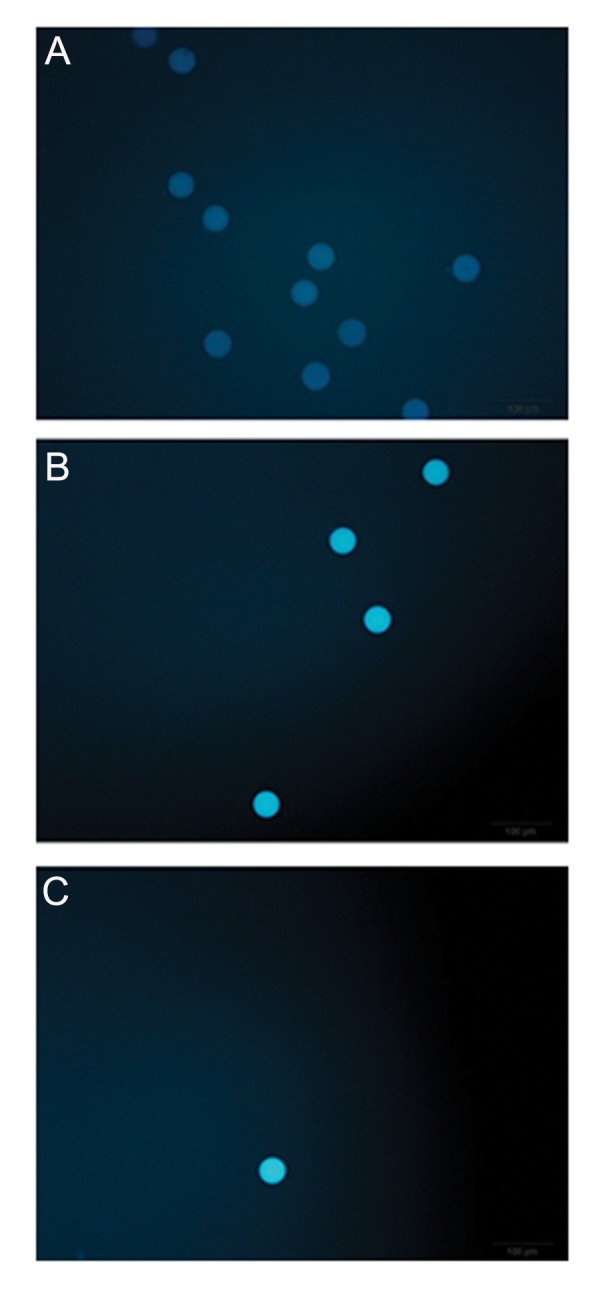 Fig.6