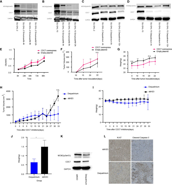 Figure 6