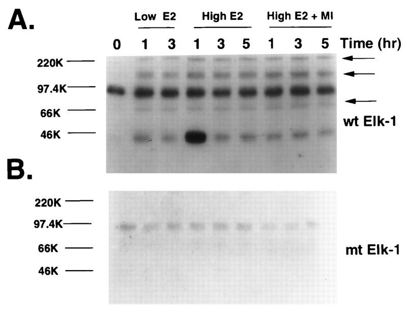 FIG. 9