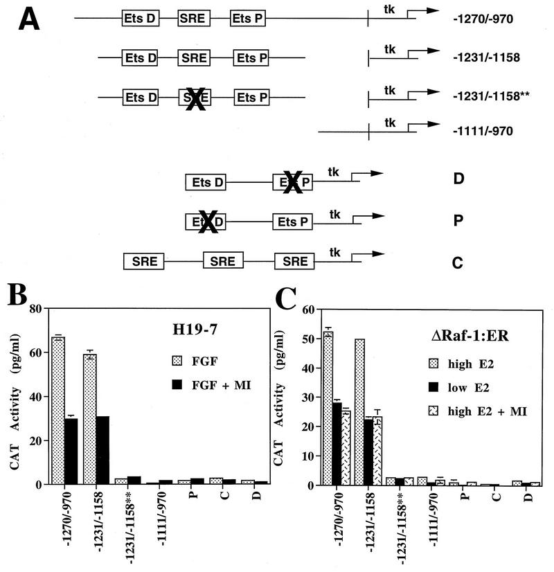 FIG. 6