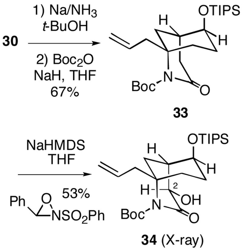 Scheme 8