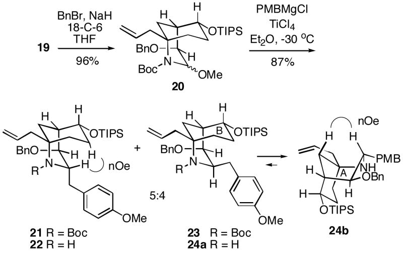 Scheme 5