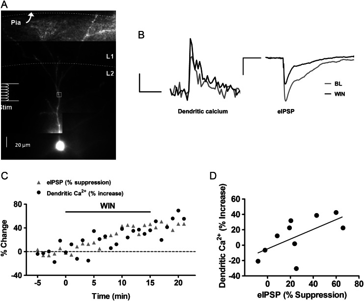 Figure 6.