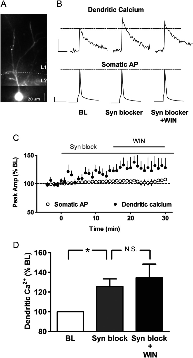 Figure 3.