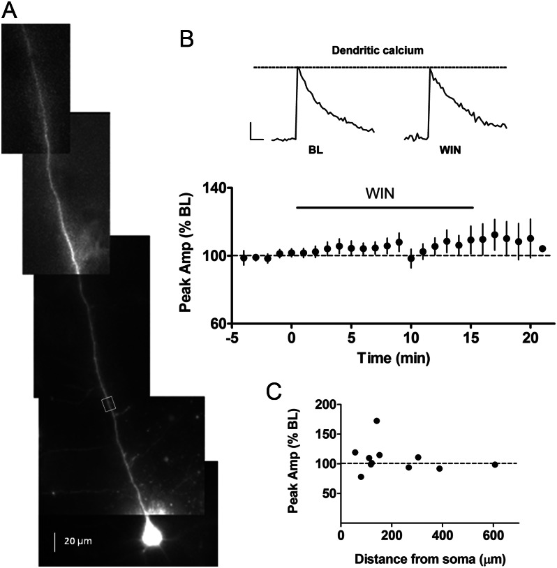 Figure 7.