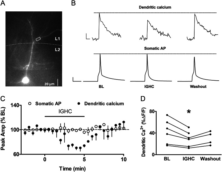 Figure 4.